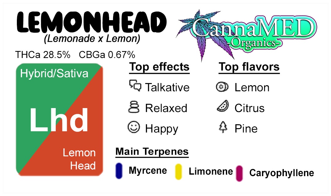 Lemonhead / 1/8
